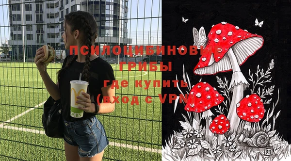 молекула духа Ахтубинск