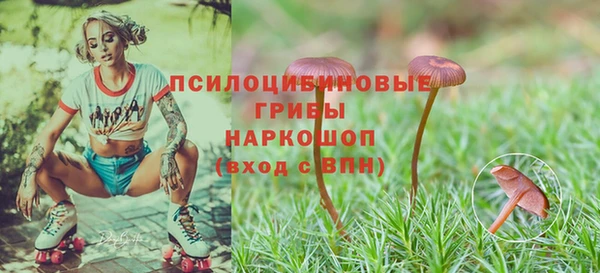 кристаллы Краснослободск